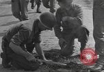 Immagine di Soldato disinnescare un tedesco Teller miniera Pont Bellenger Francia, 1944, secondo 40 filmato di repertorio 65675057863