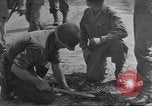 Immagine di Soldato disinnescare un tedesco Teller miniera Pont Bellenger Francia, 1944, secondo 41 filmato di repertorio 65675057863