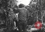 Image -NOUS 9e Division d'infanterie 39e Régiment dans Seconde Guerre Mondiale Fontenerment France, 1944, de la seconde 37 séquences d'archives historiques vidéo 65675057864