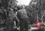 Image -NOUS 9e Division d'infanterie 39e Régiment dans Seconde Guerre Mondiale Fontenerment France, 1944, de la seconde 38 séquences d'archives historiques vidéo 65675057864