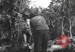 Image -NOUS 9e Division d'infanterie 39e Régiment dans Seconde Guerre Mondiale Fontenerment France, 1944, de la seconde 40 séquences d'archives historiques vidéo 65675057864