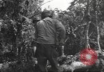 Image -NOUS 9e Division d'infanterie 39e Régiment dans Seconde Guerre Mondiale Fontenerment France, 1944, de la seconde 41 séquences d'archives historiques vidéo 65675057864