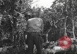 Image -NOUS 9e Division d'infanterie 39e Régiment dans Seconde Guerre Mondiale Fontenerment France, 1944, de la seconde 42 séquences d'archives historiques vidéo 65675057864