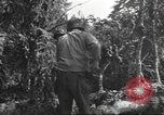 Image -NOUS 9e Division d'infanterie 39e Régiment dans Seconde Guerre Mondiale Fontenerment France, 1944, de la seconde 43 séquences d'archives historiques vidéo 65675057864