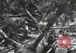 Image -NOUS 9e Division d'infanterie 39e Régiment dans Seconde Guerre Mondiale Fontenerment France, 1944, de la seconde 44 séquences d'archives historiques vidéo 65675057864