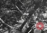 Image -NOUS 9e Division d'infanterie 39e Régiment dans Seconde Guerre Mondiale Fontenerment France, 1944, de la seconde 45 séquences d'archives historiques vidéo 65675057864