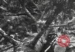 Image -NOUS 9e Division d'infanterie 39e Régiment dans Seconde Guerre Mondiale Fontenerment France, 1944, de la seconde 46 séquences d'archives historiques vidéo 65675057864