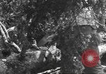 Image -NOUS 9e Division d'infanterie 39e Régiment dans Seconde Guerre Mondiale Fontenerment France, 1944, de la seconde 48 séquences d'archives historiques vidéo 65675057864