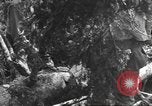 Image -NOUS 9e Division d'infanterie 39e Régiment dans Seconde Guerre Mondiale Fontenerment France, 1944, de la seconde 49 séquences d'archives historiques vidéo 65675057864