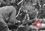 Image -NOUS 9e Division d'infanterie 39e Régiment dans Seconde Guerre Mondiale Fontenerment France, 1944, de la seconde 50 séquences d'archives historiques vidéo 65675057864