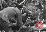 Image -NOUS 9e Division d'infanterie 39e Régiment dans Seconde Guerre Mondiale Fontenerment France, 1944, de la seconde 51 séquences d'archives historiques vidéo 65675057864