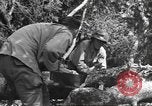 Image -NOUS 9e Division d'infanterie 39e Régiment dans Seconde Guerre Mondiale Fontenerment France, 1944, de la seconde 52 séquences d'archives historiques vidéo 65675057864