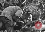 Image -NOUS 9e Division d'infanterie 39e Régiment dans Seconde Guerre Mondiale Fontenerment France, 1944, de la seconde 53 séquences d'archives historiques vidéo 65675057864