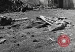 Immagine di Terza Divisione Corazzate Juvigny le Tertre Francia, 1944, secondo 3 filmato di repertorio 65675057866