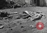 Immagine di Terza Divisione Corazzate Juvigny le Tertre Francia, 1944, secondo 4 filmato di repertorio 65675057866