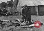 Immagine di Terza Divisione Corazzate Juvigny le Tertre Francia, 1944, secondo 18 filmato di repertorio 65675057866