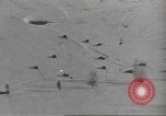 Image of United States Army Belgium, 1945, second 60 stock footage video 65675057868