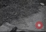Standbild 4 Infanterie Division Frankreich, 1944, aus Sekunde 10 historischem Filmmaterial Videoclip 65675057872
