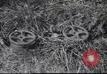 Standbild 4 Infanterie Division Frankreich, 1944, aus Sekunde 11 historischem Filmmaterial Videoclip 65675057872