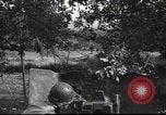 Standbild 4 Infanterie Division Frankreich, 1944, aus Sekunde 44 historischem Filmmaterial Videoclip 65675057872