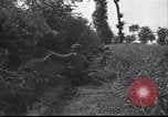 Standbild United States Army Frankreich, 1944, aus Sekunde 26 historischem Filmmaterial Videoclip 65675057873