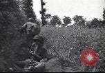 Standbild United States Army Frankreich, 1944, aus Sekunde 39 historischem Filmmaterial Videoclip 65675057873