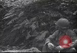 Standbild United States Army Frankreich, 1944, aus Sekunde 40 historischem Filmmaterial Videoclip 65675057873