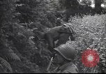 Standbild United States Army Frankreich, 1944, aus Sekunde 50 historischem Filmmaterial Videoclip 65675057873