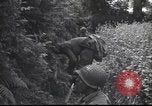 Standbild United States Army Frankreich, 1944, aus Sekunde 52 historischem Filmmaterial Videoclip 65675057873