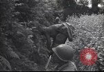 Standbild United States Army Frankreich, 1944, aus Sekunde 53 historischem Filmmaterial Videoclip 65675057873