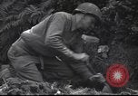Standbild United States Army Frankreich, 1944, aus Sekunde 55 historischem Filmmaterial Videoclip 65675057873