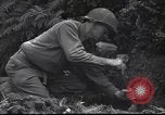 Standbild United States Army Frankreich, 1944, aus Sekunde 56 historischem Filmmaterial Videoclip 65675057873