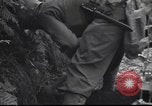 Standbild United States Army Frankreich, 1944, aus Sekunde 61 historischem Filmmaterial Videoclip 65675057873