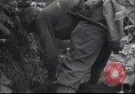Standbild United States Army Frankreich, 1944, aus Sekunde 62 historischem Filmmaterial Videoclip 65675057873
