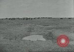 Immagine di Confezionamento della carne United States USA, 1922, secondo 53 filmato di repertorio 65675057876