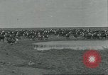 Immagine di Confezionamento della carne United States USA, 1922, secondo 57 filmato di repertorio 65675057876