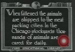 Immagine di Carne Industria di imballaggio Chicago Illinois USA, 1922, secondo 16 filmato di repertorio 65675057877