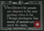 Immagine di Carne Industria di imballaggio Chicago Illinois USA, 1922, secondo 18 filmato di repertorio 65675057877