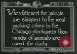 Immagine di Carne Industria di imballaggio Chicago Illinois USA, 1922, secondo 20 filmato di repertorio 65675057877