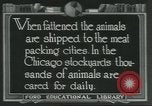 Immagine di Carne Industria di imballaggio Chicago Illinois USA, 1922, secondo 22 filmato di repertorio 65675057877