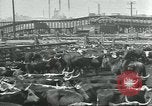 Immagine di Carne Industria di imballaggio Chicago Illinois USA, 1922, secondo 24 filmato di repertorio 65675057877