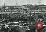 Immagine di Carne Industria di imballaggio Chicago Illinois USA, 1922, secondo 25 filmato di repertorio 65675057877
