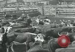 Immagine di Carne Industria di imballaggio Chicago Illinois USA, 1922, secondo 29 filmato di repertorio 65675057877