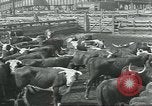 Immagine di Carne Industria di imballaggio Chicago Illinois USA, 1922, secondo 30 filmato di repertorio 65675057877