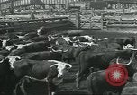 Immagine di Carne Industria di imballaggio Chicago Illinois USA, 1922, secondo 31 filmato di repertorio 65675057877