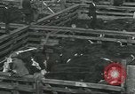 Immagine di Carne Industria di imballaggio Chicago Illinois USA, 1922, secondo 46 filmato di repertorio 65675057877