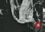 Immagine di Carne Industria di imballaggio Chicago Illinois USA, 1922, secondo 58 filmato di repertorio 65675057878