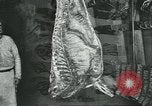 Standbild Meat Packing industry United States USA, 1922, aus Sekunde 18 historischem Filmmaterial Videoclip 65675057879