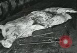 Standbild Meat Packing industry United States USA, 1922, aus Sekunde 22 historischem Filmmaterial Videoclip 65675057879