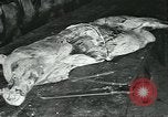 Standbild Meat Packing industry United States USA, 1922, aus Sekunde 25 historischem Filmmaterial Videoclip 65675057879